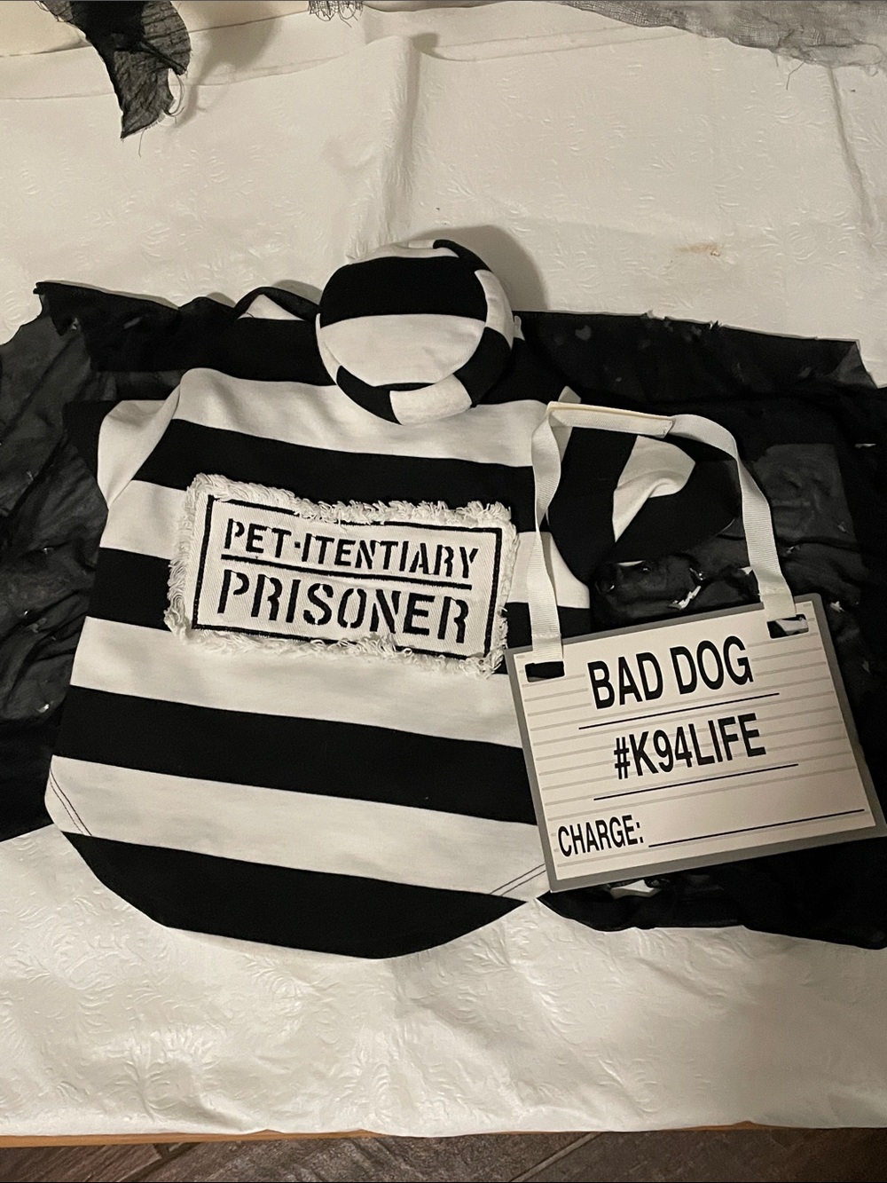 Halloween Costume for small pet